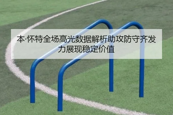 本·怀特全场高光数据解析助攻防守齐发力展现稳定价值 | leyusports
